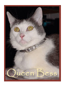 Queen Bess